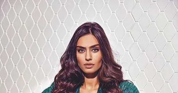 Ana destek