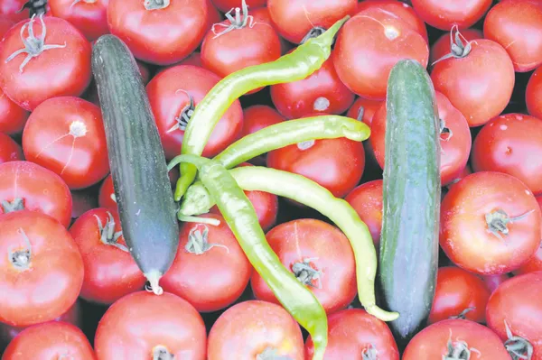 Rusya Ukrayna savaşı meyve-sebze ihracatını durdurdu! Fiyatlar düştü: Hıyarın foyası ortaya çıktı