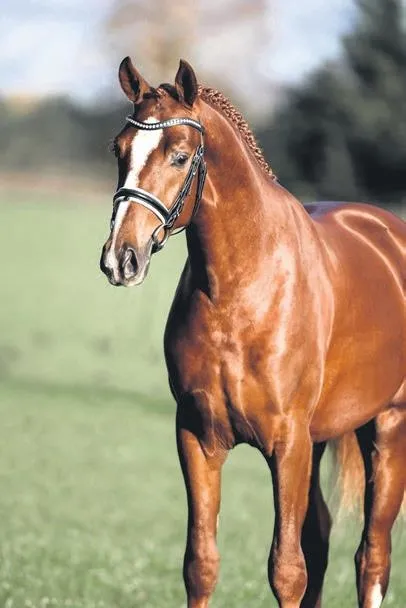 yabanci-evlendi-1631659738590.jpeg Yabancı 'ev'lendi (Ekonomi haberleri)-1