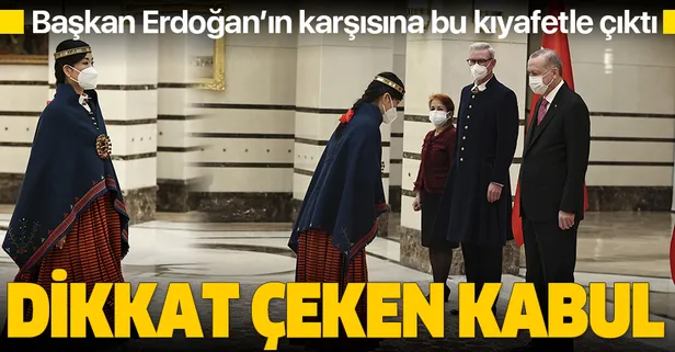 Son dakika: Başkan Erdoğan güven mektubu sunan büyükelçileri kabul etti