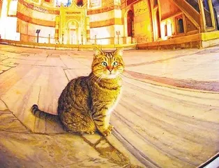 Ayasofya’nın sev’gili’si