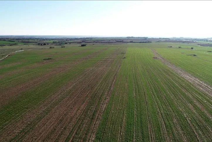 Atıl kalan arazi kiraya verilecek