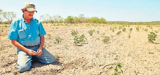 Çiftçinin derdi yağış