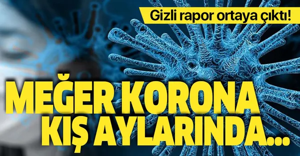 Koronavirüs ile ilgili gizli rapor ortaya çıktı! Meğer koronavirüs kış aylarında...-1