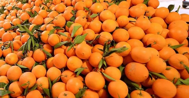 Portakalın mucizesi: Bağışıklığa tam destek