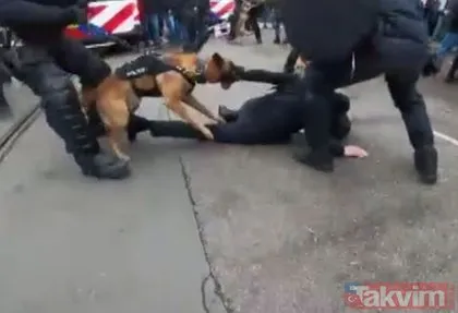 Dehşet anları! Hollanda’da polisten protestoculara hem köpekli hem coplu müdahale! Kolunu parçaladı