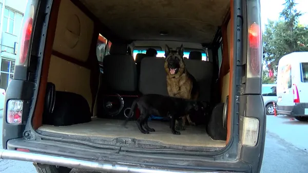 istanbul-ikitellide-yangin-faciasi-anne-kopek-ve-yavrusu-sag-olarak-kurtuldu-1630481738035.jpg İstanbul İkitelli'de yangın faciası! Anne köpek ve yavrusu sağ olarak kurtuldu-5