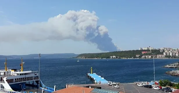 Son dakika: Çanakkale’de orman yangını!