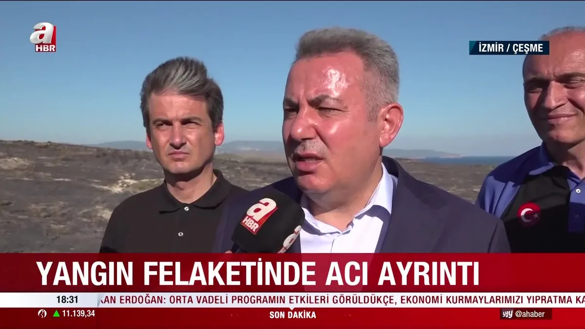 İzmir'in Çeşme ilçesinde 3 kişinin öldüğü orman yangını: Gözaltı sayısı 5'e çıktı