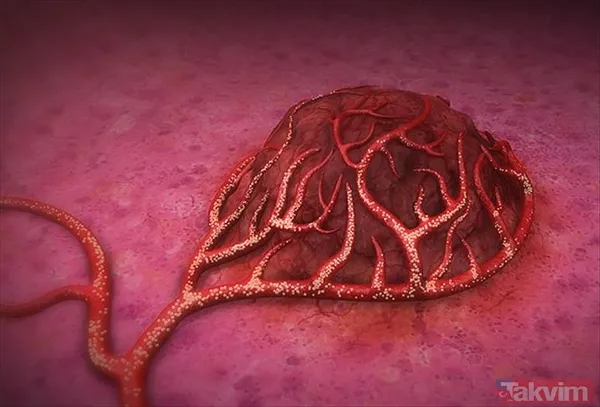 İngiliz Diyetisyenler Birliği Sözcüsü Priya Tew, Sağlıklı Bir Bireyin Günlük En Az 30 Gram Lif Alması Gerektiğini Belirtiyor. Ancak Çoğu İnsan Bu Miktarın...