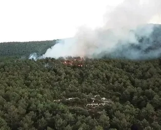 Kayışdağı’nda çıkan orman yangını kontrol altına alındı