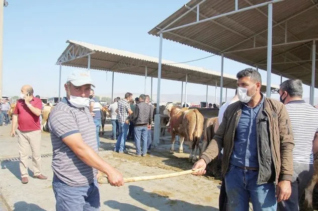 Bilim Kurulu üyesi Kurban Bayramı öncesi uyardı: Endişeliyim | 1 milyon İstanbullu risk altında
