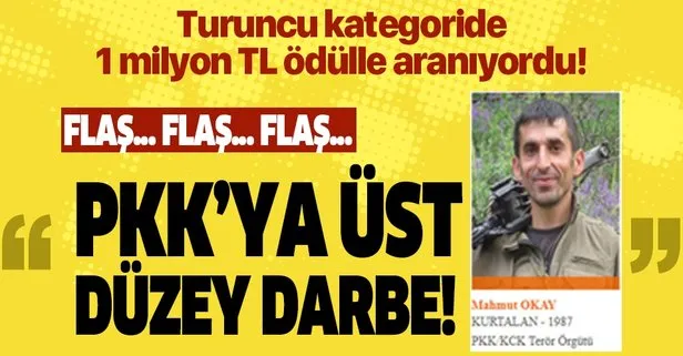 Turuncu listedeki terörist yaralı ele geçirildi