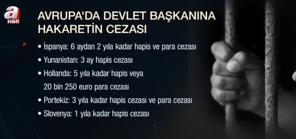 sedef-kabas-hapis-cezasi-alacak-mi-avrupada-devlet-baskanlarina-hakaretin-cezasi-ne-1643011302064.jpg