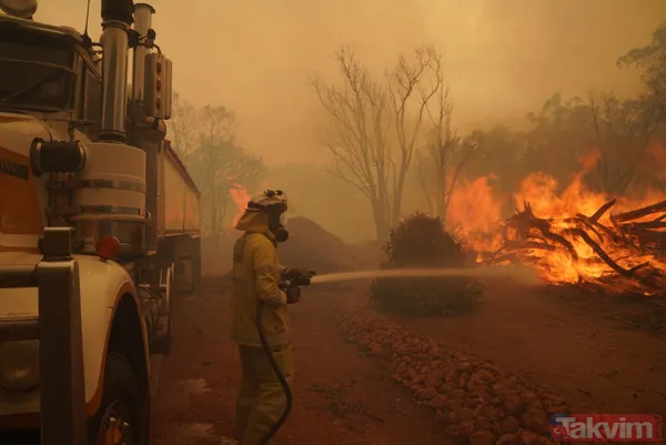 SON DAKİKA: Avustralya'da yangın faciası! 71 ev kül oldu - 18