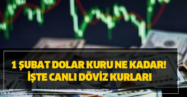 1 subat dolar kuru ne kadar iste canli