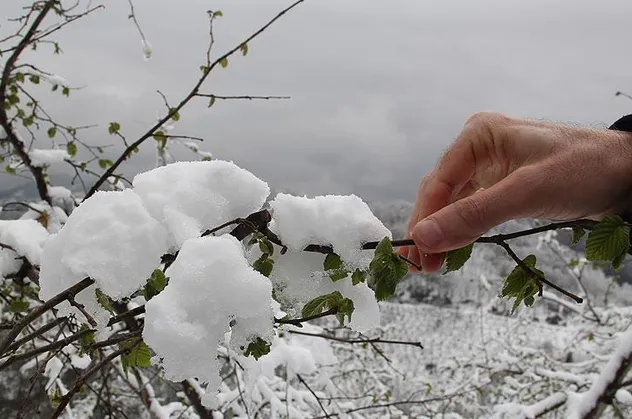 HAVA DURUMU | Meteoroloji saat vererek uyardı: Zirai don tehlikesine dikkat! | 13 Mart İstanbul'da hava nasıl olacak?