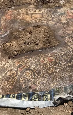 Adıyaman'da bulundu! Tam 1600 yıllık