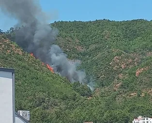 Son dakika: Muğla Marmaris'te orman yangını! Söndürme çalışmaları havadan ve karadan devam ediyor