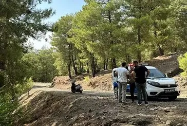 Ormanlık alanda terk edilmiş bebek