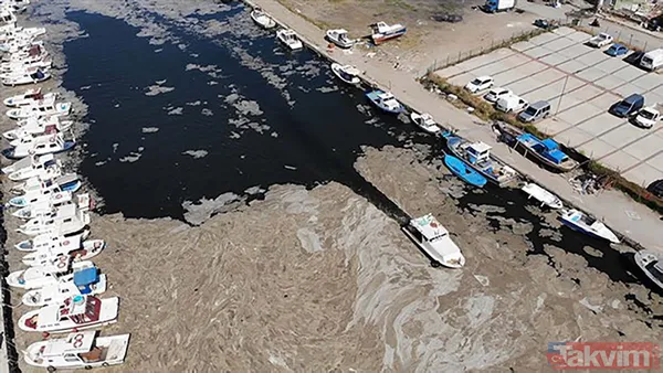 SON DAKİKA: Marmara Denizi için büyük tehlike! Deniz hala soğumadı müsilaj tehlikesi devam ediyor - 5