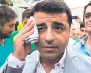 Demirtaşın son umudu