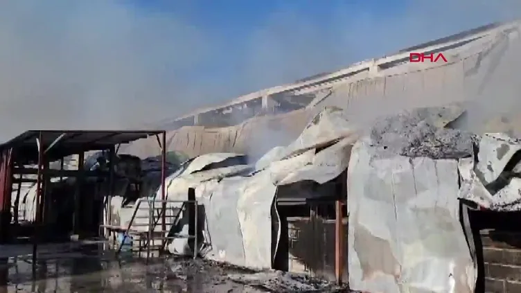 Antalya'da gıda fabrikasında yangın çıktı