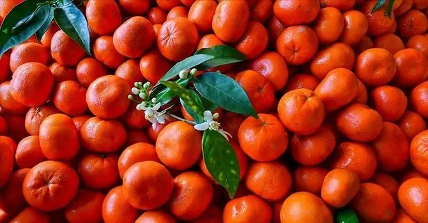 Mandalina şifa dağıtıyor! İşte faydaları...