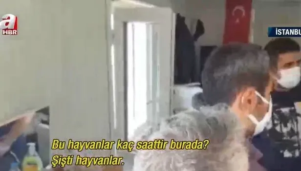 İstanbul'da kurbanlıklar askıda kaldı! Vatandaş isyan etti: Kendi etlerimizi kendimiz doğruyoruz