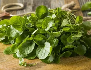 Keskin gözlere tere