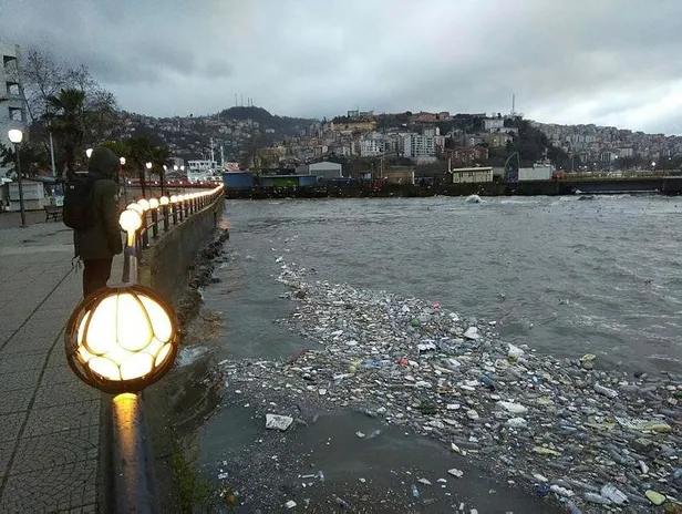 Zonguldak'ta kahreden görüntü! Hepsi sahile vurdu-3