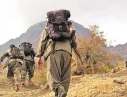 PKK’nın dağ kadrosundaki terörist tutuklandı