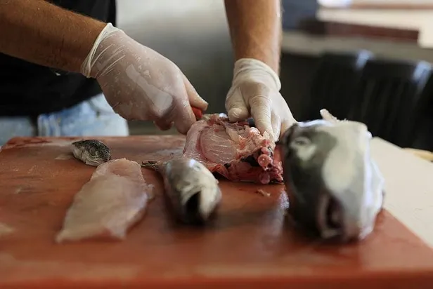 Zehirli balon balığıyla ilgili vatandaşlara kritik uyarı: Filetosundan ayırt etmek imkansız-2