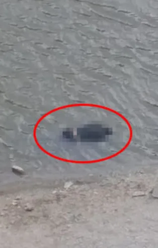 Denizli'de gölde bir erkek cesedi bulundu