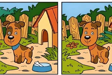 Deneyenlerin %95'i başarısız! Sadece dahiler başarabiliyor! Yüksek IQ'lu kişiler şipşak çözüyor!