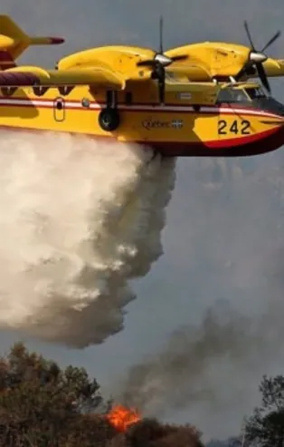 THK eski Başkanı Kürşat Atılgan'dan Bekir Pakdemirli'ye tam destek