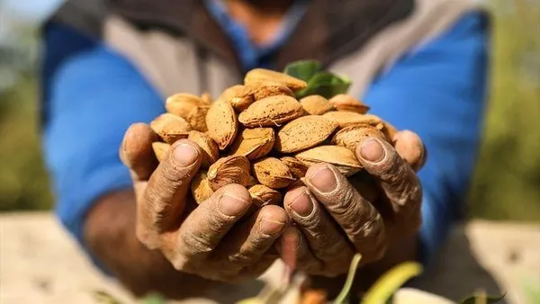 Sağlık için 4 bin 400 adım yeterli (Sağlık haberleri)-2