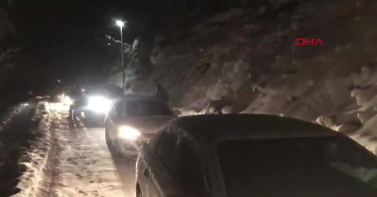 Abant'ta kar çilesi! Tatilciler otellere sığındı