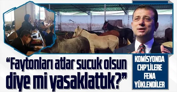Hayvanseverlerden ’İBB’ye kayıp atlar’ tepkisi: Biz faytonları atlar sucuk olsun diye yasaklatmadık