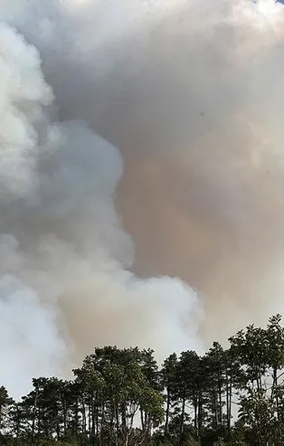 Bursa'da orman yangını! 10 saatlik çalışma sonucu kontrol altına alındı