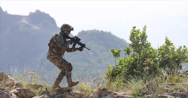 Terörü kaynağında yok etmeye devam! Gara'da kalleş temizliği... 3 PKK'lı EX