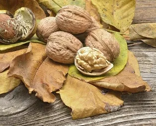 Bir avuç ceviz kolesterolü yeneriz