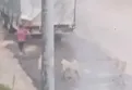İnegöl'de başıboş köpek saldırısı kamerada!