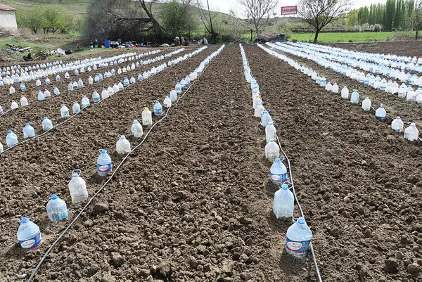 İnternette gördü 3 bin pet şişeyle sera yaptı-4
