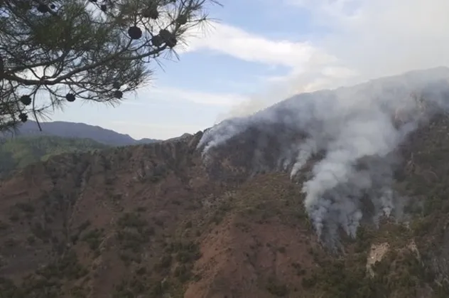 Kahramanmaraş’taki yangının sebebi: Yıldırım