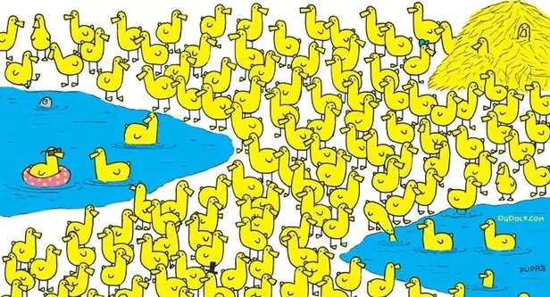 ordeklerin-arasindaki-civcivi-iqsu-yuksek-ve-sniper-gibi-gozlere-sahip-olanlar-buluyor-1696687128552.jpg Ördeklerin arasındaki civcivi IQ'su yüksek ve sniper gibi gözlere sahip olanlar buluyor-3