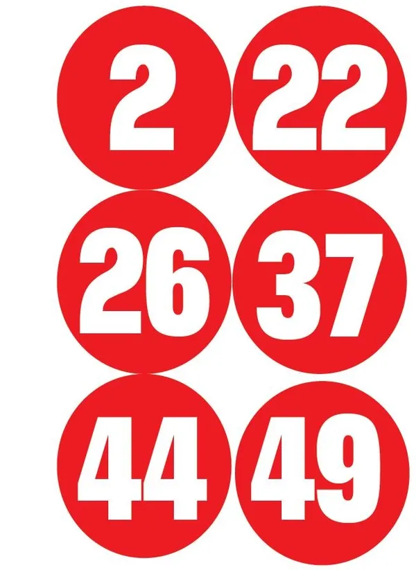 İstanbul Şişli'de Rus manken Elana S.'nin çantasını çalan kapkaççı yakalandı (Yaşam haberleri)-2