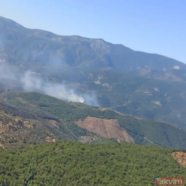 SON DAKİKA: Kazdağları'nda orman yangını! 3 saatlik müdahaleyle kontrol altına alındı - 14