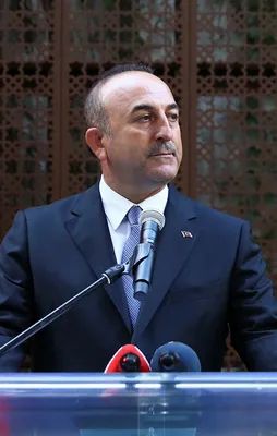 Çavuşoğlu'ndan Almanya'ya tokat gibi yanıt
