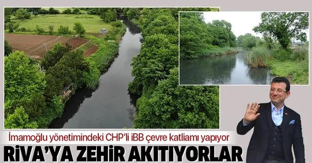 CHP’li Ekrem İmamoğlu yönetimindeki İBB çevre katliamı yapıyor! Riva’ya zehir akıtıyorlar